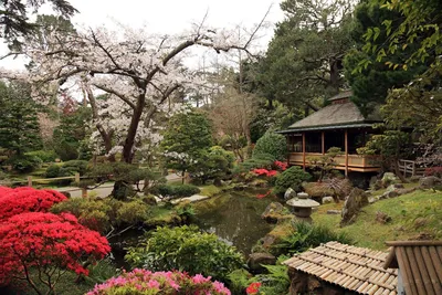 Идеи на тему «Японский садик» (310) | японский сад, дизайн сада, сад дзен