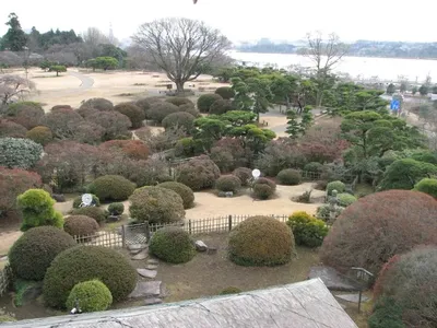 Из чего состоит японский сад и как воссоздать на своем участке — уроки  ландшафтного дизайна. Фото — Ботаничка