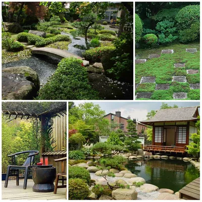 Японский сад купить или заказать у профессионалов