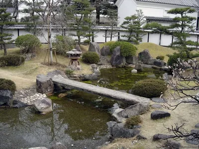 Продолжаю создавать уголок в стиле японского сада. - YouTube