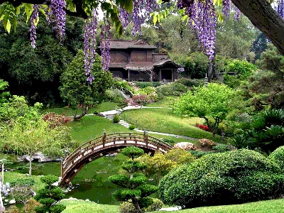 Как правильно спроектировать японский сад