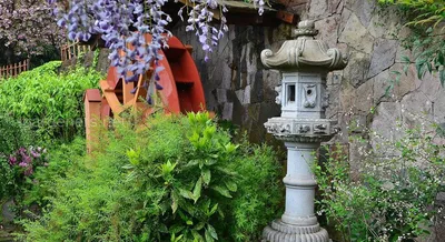 Маленькие японские сады для на участке и в саду – 135 лучших фото,  ландшафтный дизайн участка, сада и огорода | Houzz Россия