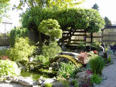 Японский сад своими руками: Вселенная в твоем доме | WMJ.ru