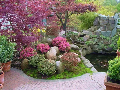 Ландшафтный дизайн. Японский сад - Ландшафтный дизайн своими руками
