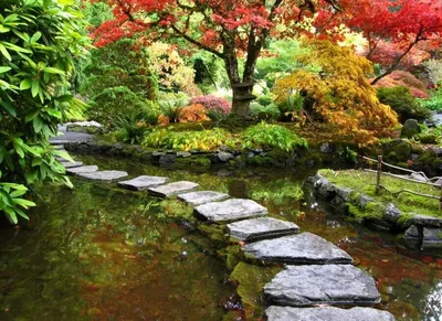 Японский сад своими руками - как создать сад в японском стиле