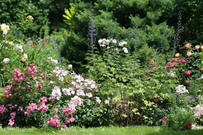 💐Из чего состоит идеальный сад? 4 совета от мастеров ландшафтного диза...