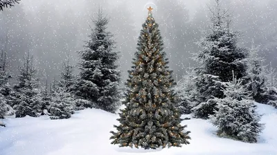 Искусственная елка с напыление снег и шишками 120 см купить в Екатеринбурге  «elkaekb.ru