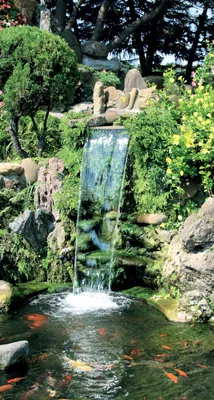 Декоративные водопады, делаем водопад своими руками, полезные советы. Как  сделать декоративный водопад с… | Водопады, Дизайн цветочного сада, Планы  садового дизайна