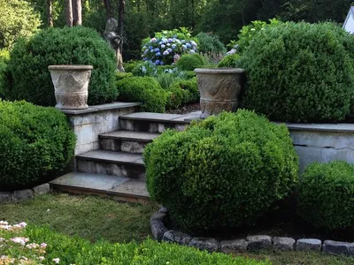 Итальянский стиль и сад в ландшафтном дизайне - особенности и отличительные  черты