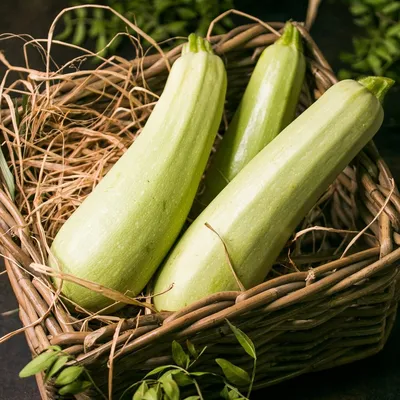 Prosad.Prodachu - Растение дня - кабачок Кабачки – это самая безопасная и в  то же время полезная разновидность летних овощей. Они практически не  вызывают аллергическую реакцию. Поскольку этот овощ не имеет ярко