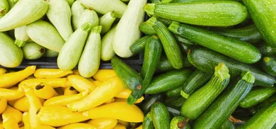 Зеленые овощные кабачки белая дыня ингредиенты PNG , сквош, Дыня, овощи PNG  рисунок для бесплатной загрузки