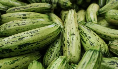Кабачки - не только вкусный овощ, но и источник полезных веществ!» —  создано в Шедевруме
