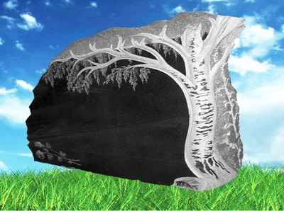 Каменная берёза в Долине гейзеров претендует на звание \"Российское дерево  года\"