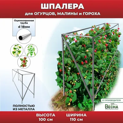 Вырастить огурцы на шпалере в открытом грунте | naidy-garden.ru