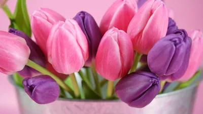 https://tv-gubernia.ru/novosti/obwestvo/roza-mimoza-tjulpan-kak-vybrat-cvety-na-8-marta-rekomendacii-florista/