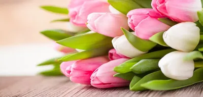 Заказать Букет тюльпанов микс на 8 марта в Киеве