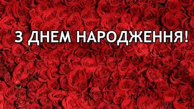 Привітання з Днем народження у віршах: 54 найкращі вірші українською -  Радіо Незламних