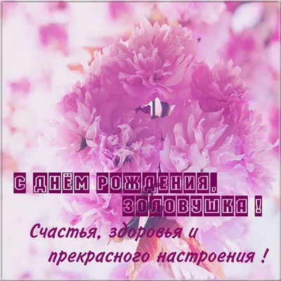 Весёлая и прикольная картинка для золовки в день рождения - С любовью,  Mine-Chips.ru