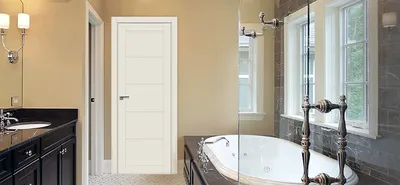 Какие двери выбрать в туалет или ванную