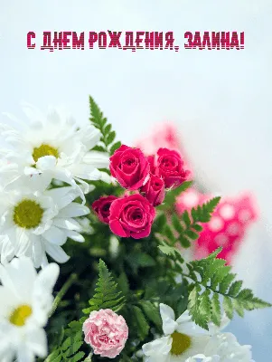 Раскраски женское имя Залина распечатать бесплатно в формате А4 (42  картинки) | RaskraskA4.ru