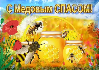 Продукты пчеловодства смогут купить липчане к празднику Медовый Спас на  ярмарках в областном центре | Заветы Ильича