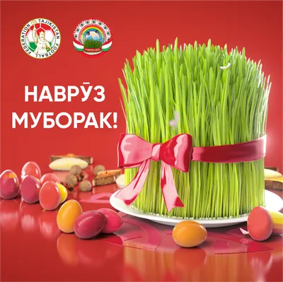 Поздравляем с Международным праздником Навруз! – Федерация Футбола  Таджикистана