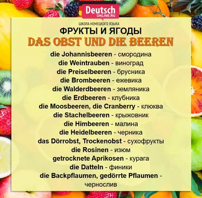 Фрукты и ягоды на немецком. Шпаргалка | Немецкий язык | Дзен