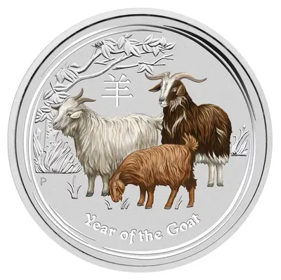 Год Козы (Овцы): краткий обзор и фотографии с символом года