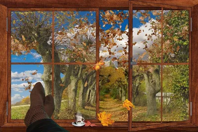 Осенний пейзаж из окна рисунок - 76 фото