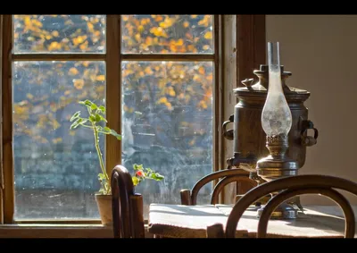 вид из окна с деревьями осенью, картина стеклянное окно, стакан, окно фон  картинки и Фото для бесплатной загрузки