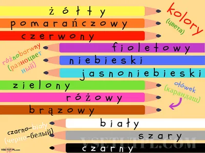 Польский язык без проблем