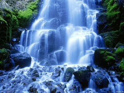 Фото 13. : природа - водопад для рабочего стола 1024x768