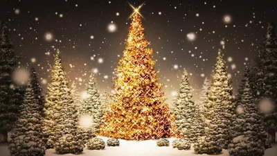 Скачать 1366x768 новый год, рождество, елки, лес, открытка, снег, ночь,  праздник обои, картинки планшет, ноутбук