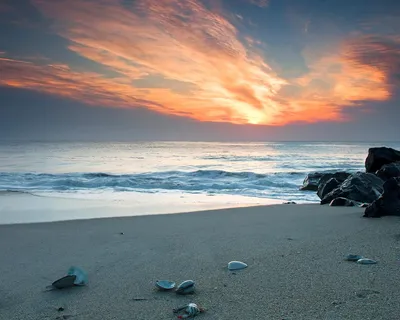 Песочный берег моря обои для рабочего стола, картинки, фото, 1280x1024.