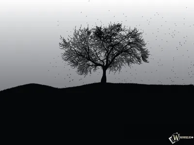 Скачать обои Мертвое дерево (Дерево, Black, Dark) для рабочего стола  1400х1050 (4:3) бесплатно, Обои Мертвое дерево Дерево, Black, Dark на рабочий  стол. | WPAPERS.RU (Wallpapers).