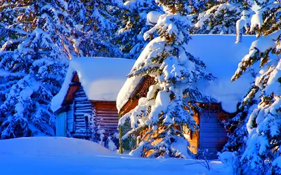 Фото ели Зима Природа снегу Здания Времена года 1920x1200