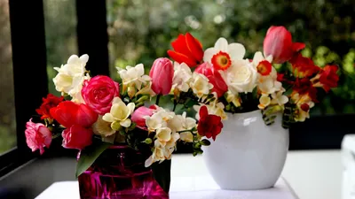 Обои розы, фрезия, цветы, нарциссы, тюльпаны, букеты, вазы картинки на рабочий  стол, фото скачать бесплатно