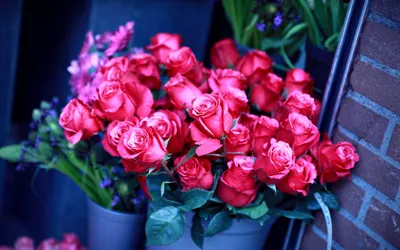 Букеты Красивых Роз - Обои для рабочего стола