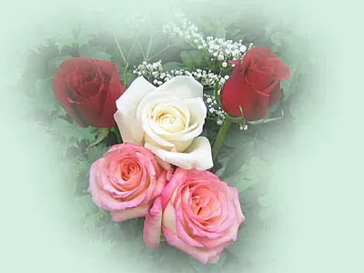 bouquet, картинки на рабочий стол букеты цветов, цветы, красивые фото  цветов и букетов в высоком качестве на день рождения, цветы красивые,  Цветы, Свадебный фотограф Москва