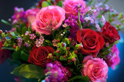 Обои для рабочего стола Букеты Розы цветок