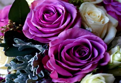 Обои пионы, цветы, букеты, розовый, красный картинки на рабочий стол, фото  скачать бесплатно