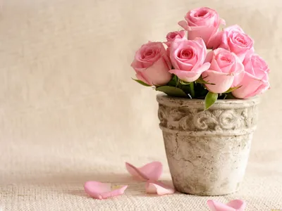 Обои Цветы Розы, обои для рабочего стола, фотографии цветы, розы, ваза,  бутоны Обои для рабочего стола, скачать обои картинки заставки на рабочий  стол.