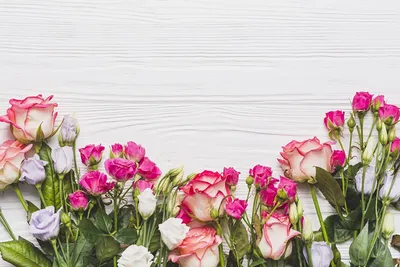 Обои для рабочего стола Розы Цветы Шаблон поздравительной открытки роза  цветок | Цветочные фоны, Цветы шаблоны, Пастельные фотографии