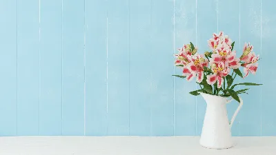 Обои на рабочий стол: Цветы, Растения, Розы - скачать картинку на ПК  бесплатно № 25059