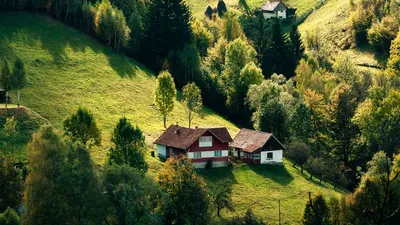 Обои дом, лес, деревня, деревья, холмы картинки на рабочий стол, фото  скачать бесплатно