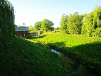 Пейзаж с речкой деревенский (59 фото) - 59 фото
