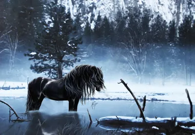 Новогоднее изображение лошади зимой на природе - обои на рабочий стол
