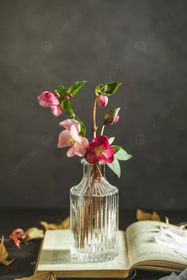 Обои чашка, чай, розы, цветы, натюрморт картинки на рабочий стол, фото  скачать бесплатно