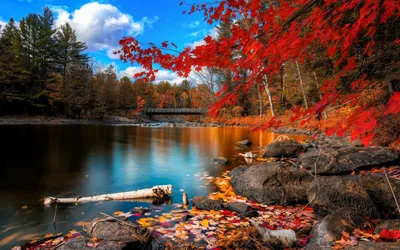 Осенний пейзаж с красивой рекой - обои на рабочий стол