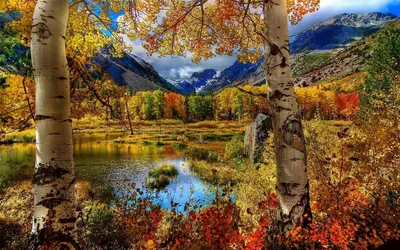 Обои на рабочий стол: Горы, Пейзаж, Осень, Река - скачать картинку на ПК  бесплатно № 32657